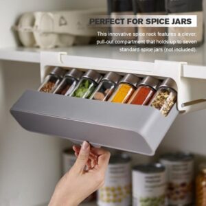 Under-Shelf Organizer